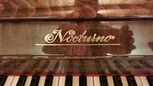 Pianino Nocturno w bardzo dobrym stanie, do strojenia