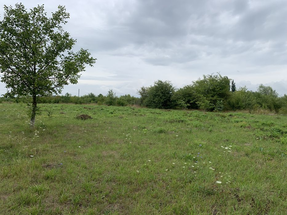Земельна ділянка 25 соток с.мамаївці (участок)