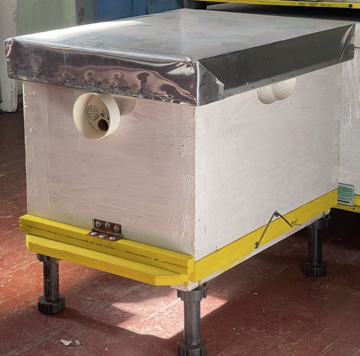 Бджолині вулики з пасіки