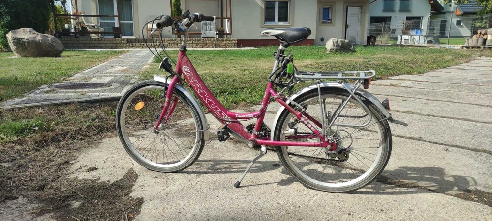 Rower Arkus Panda City (24)