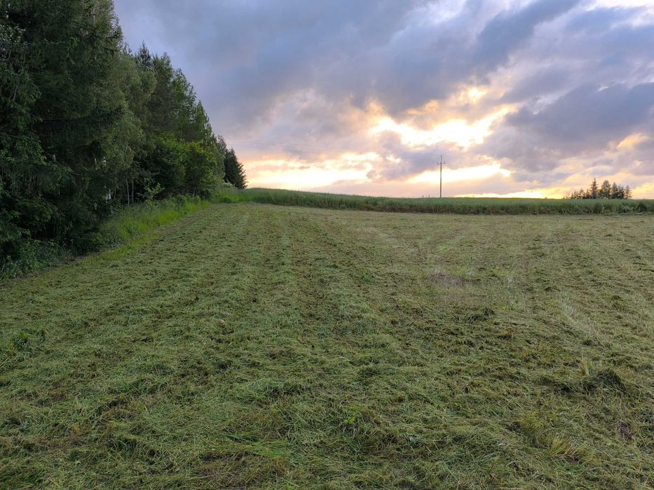Koszenie nieużytków traw łąk farm fotowoltaicznych