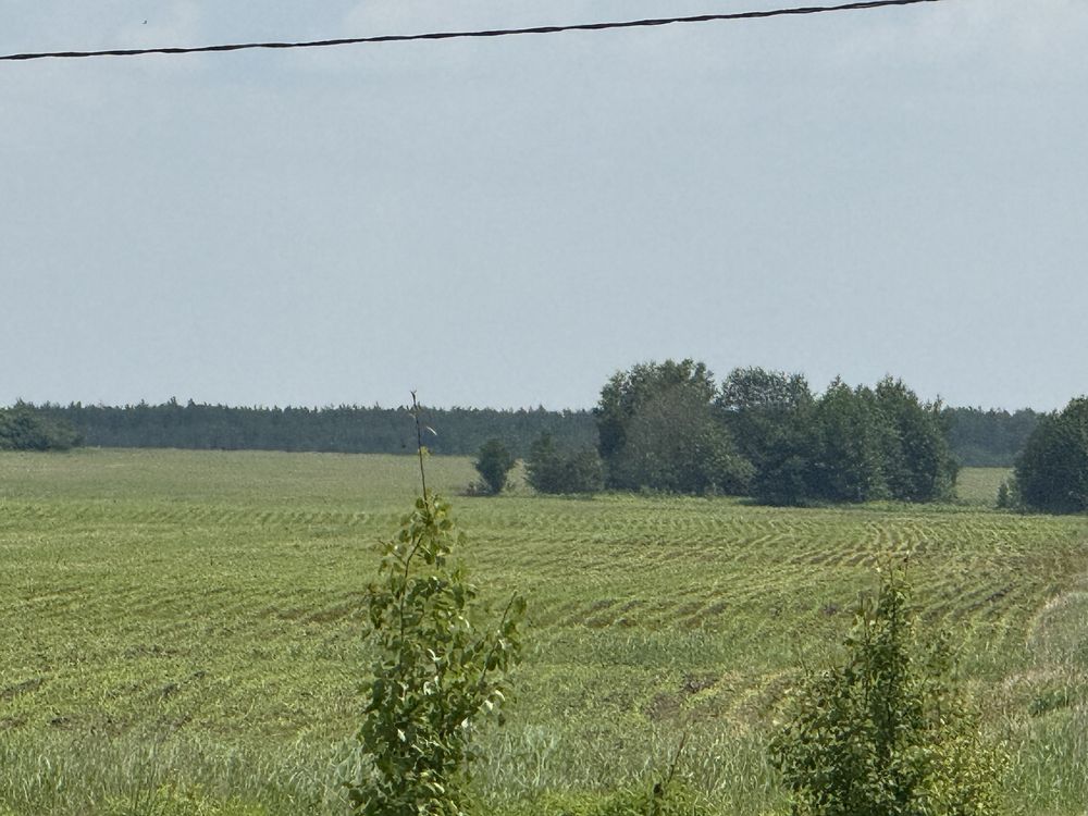 Земельна ділянка 25га.Терміново!Фасова. 35$/сотка!
