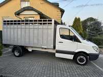 Mercedes sprinter 515 bliźniak do przewozu żywca