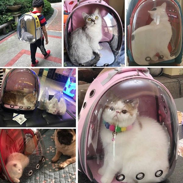 Рюкзак з ілюмінатором для транспортування кішок