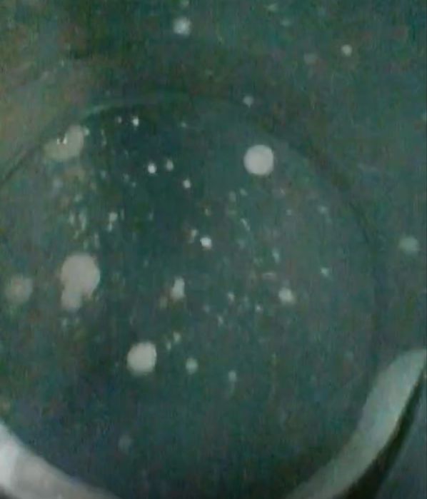 BMW 7 740d  Long (G12) 2017r 320KM (Uszkodzony  Silnik) (Bawaria)