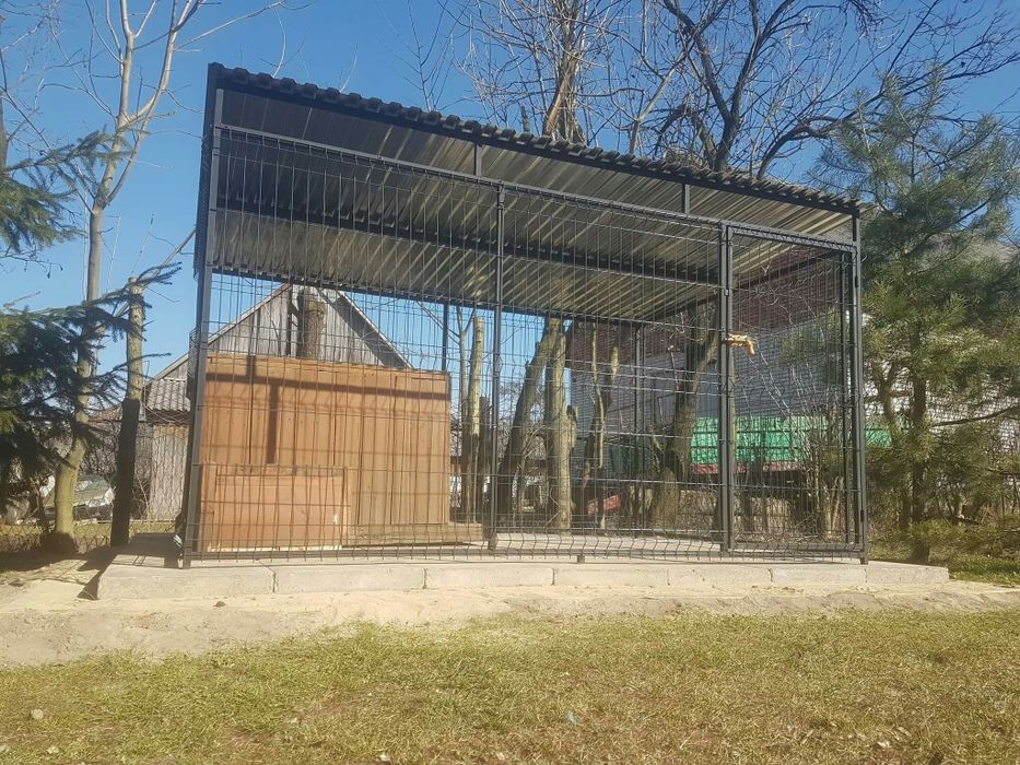 Kojec, zagroda 3x2m boks dla psa. Panel 3D