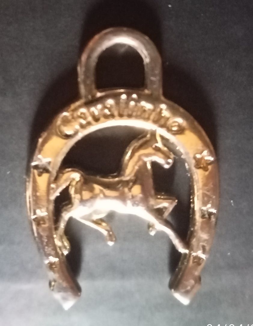 Ornamentos para mala da marca Cavalinho.