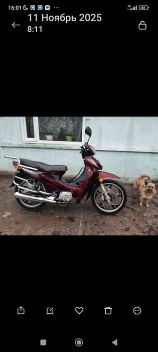 Продам мопед, Viper Active