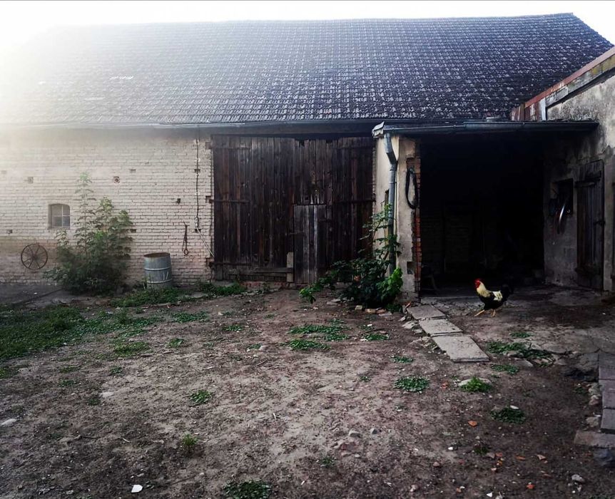 Sprzedam nieruchomość 1,8 ha w Drawsku Pomorskim – idealna inwestycja!