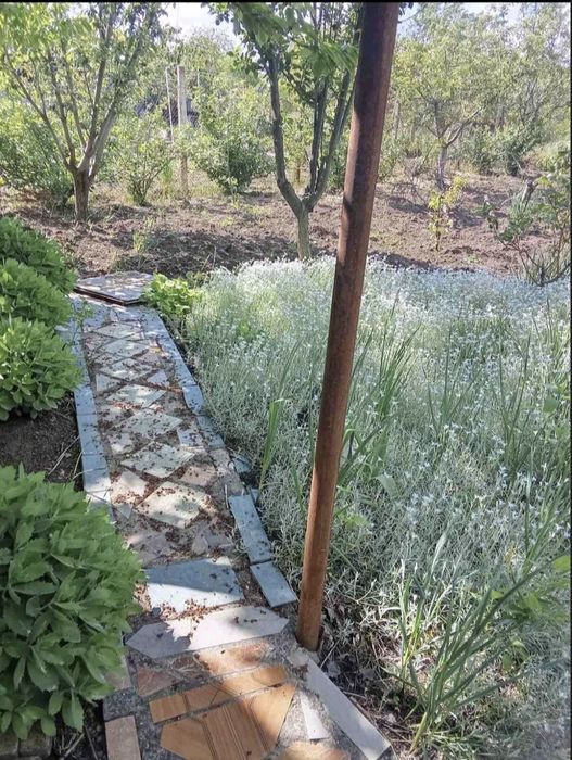 Продам дачу на Телегульском лимане