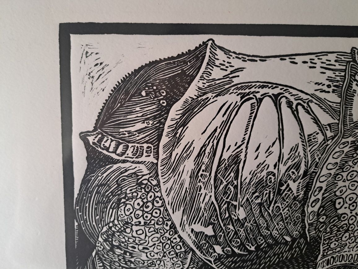 Linogravura Rinoceronte, de Dürer - gravura em linóleo linocut - NOVO