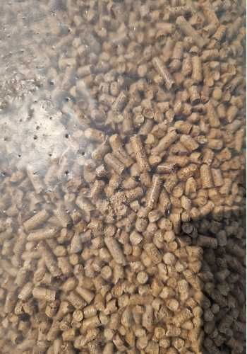 Pellet drzewny sosnowy