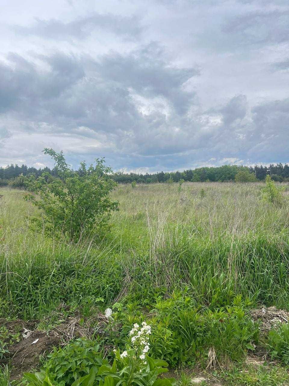 Продам дачну ділянку біля Брюховицького лісу