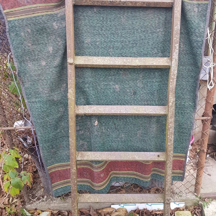 Драбина господарська