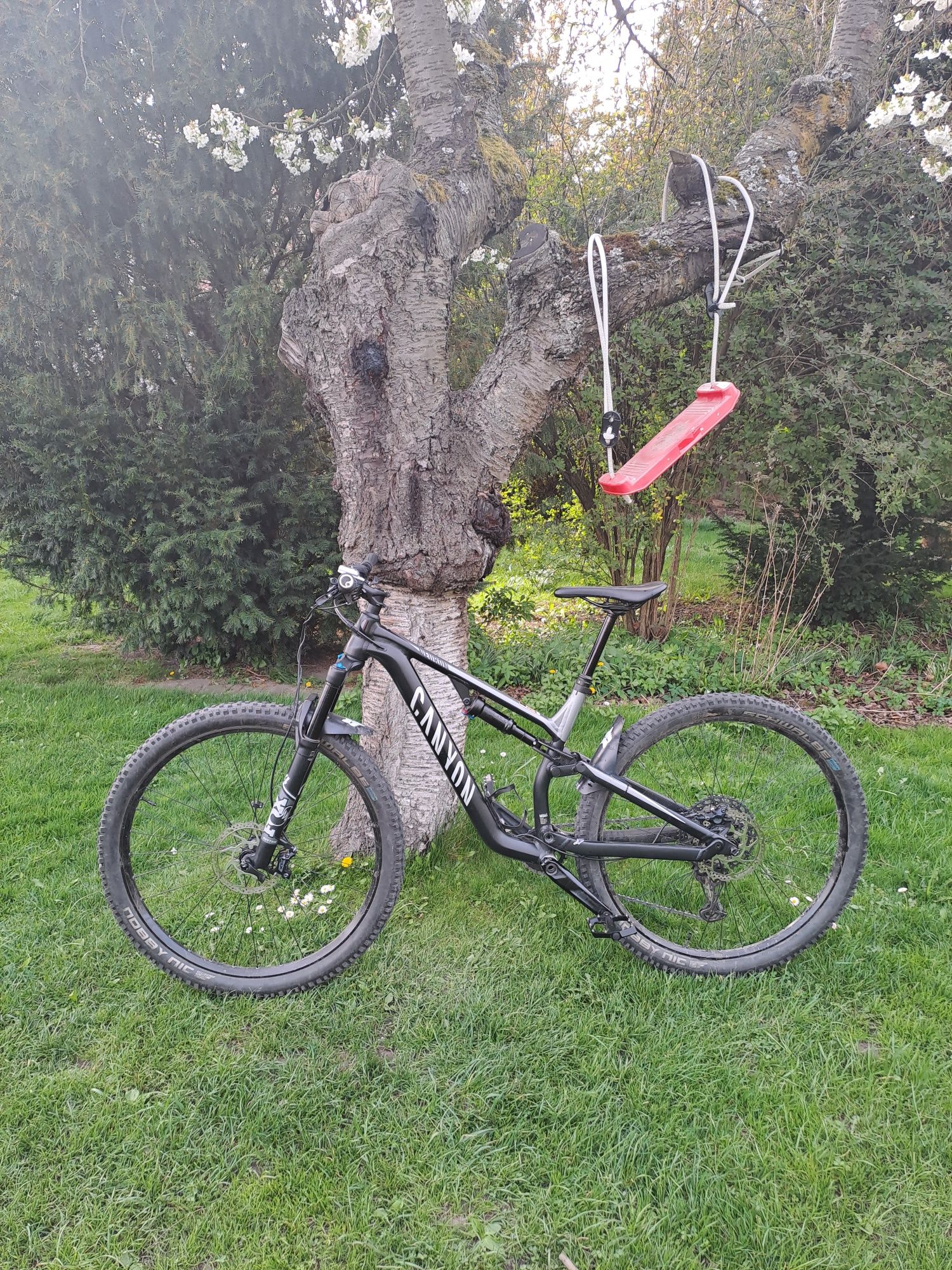 Canyon neuron 7 M