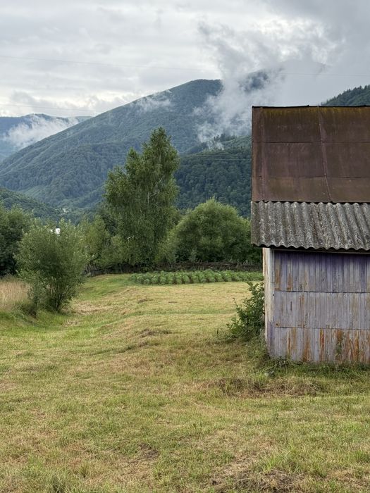 Продається ділянка з будинками у смт. Міжгірʼя