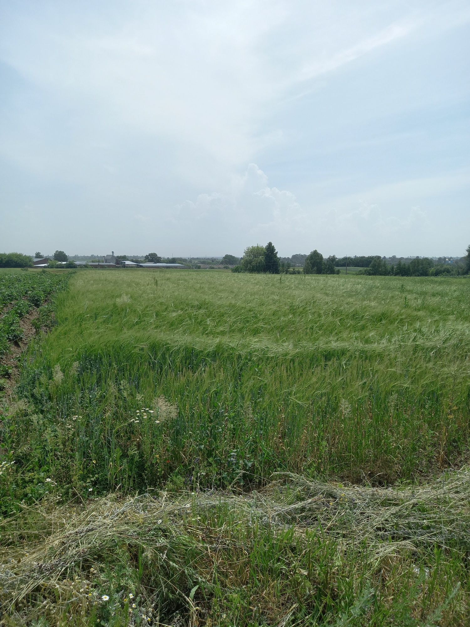 Продам земельну ділянку- Обмін