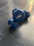 Par de dumbells pesos halteres 1,5kg