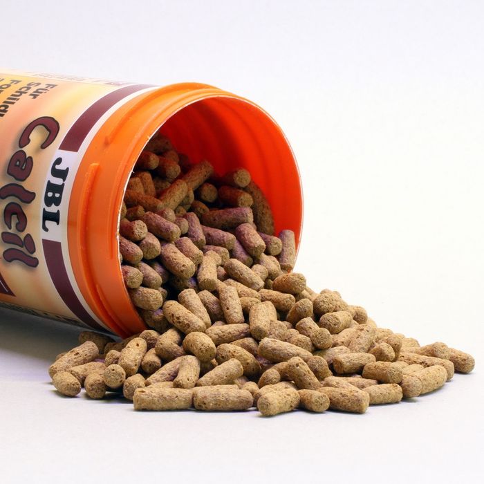 Pokarm Calcil dla gadów mięsożernych -żółwi akwarystyczna