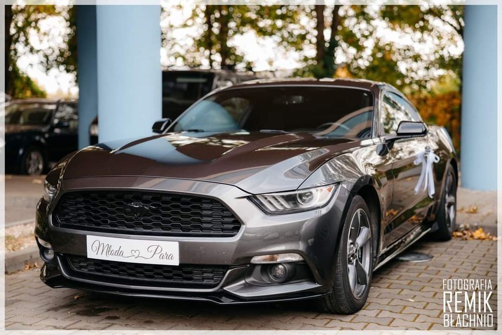 Mustang! Auto na ślub wesele, 18stka, panieńskie i inne! !Na wynajem!