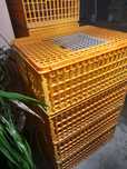 Jaulas de tramporte de aves