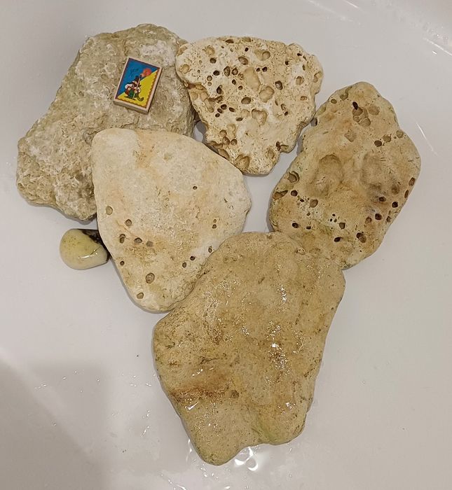 Камни ,ракушки, кораллы    для  аквариума