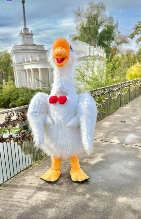 Гусь-Обіймусь. Гусь, привітання