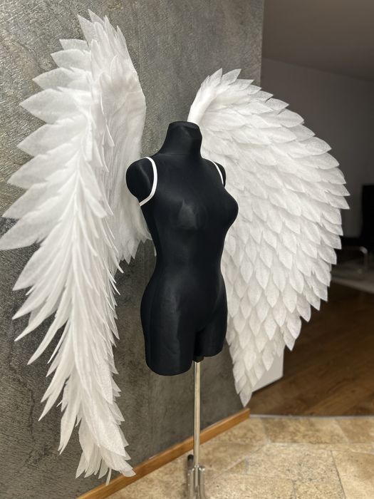 Białe skrzydła, nowe