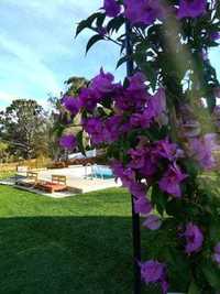 Lagos. Casa Oliveira, Verao praia, piscina, campo, descanso