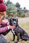 Wyjątkowy Black czeka na adopcje