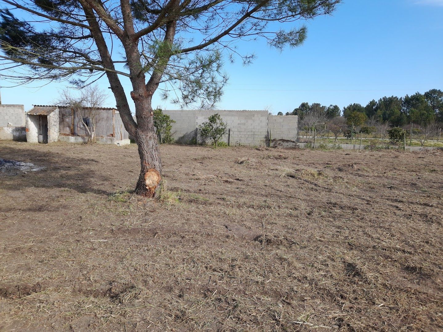 Limpeza de terrenos