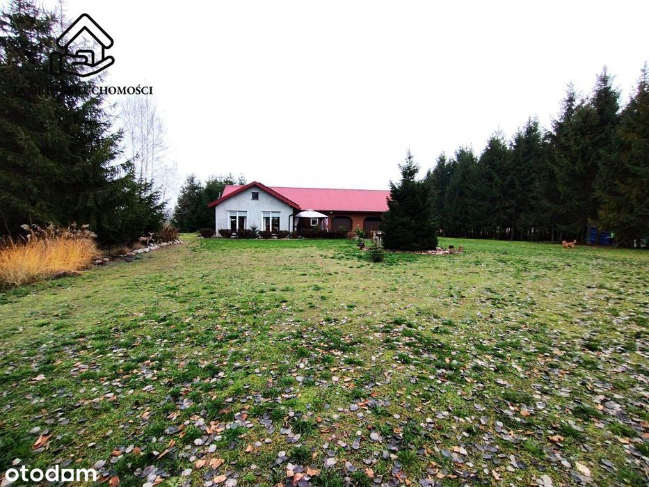 Dom 3-pokojowy pod lasem, z dala od sąsiadów