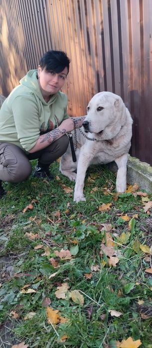 Кур'єр. Доставка тварин по Україні