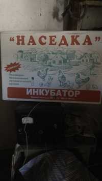 Инкубатор механический Наседка