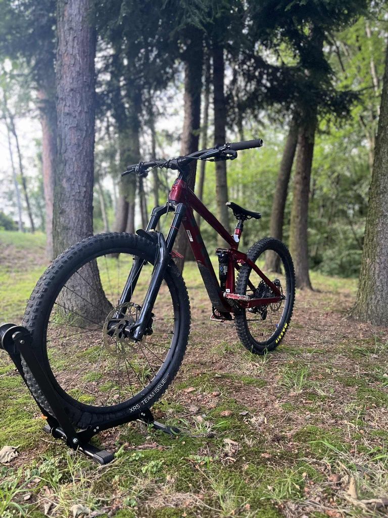 TREK remedy 7 2021