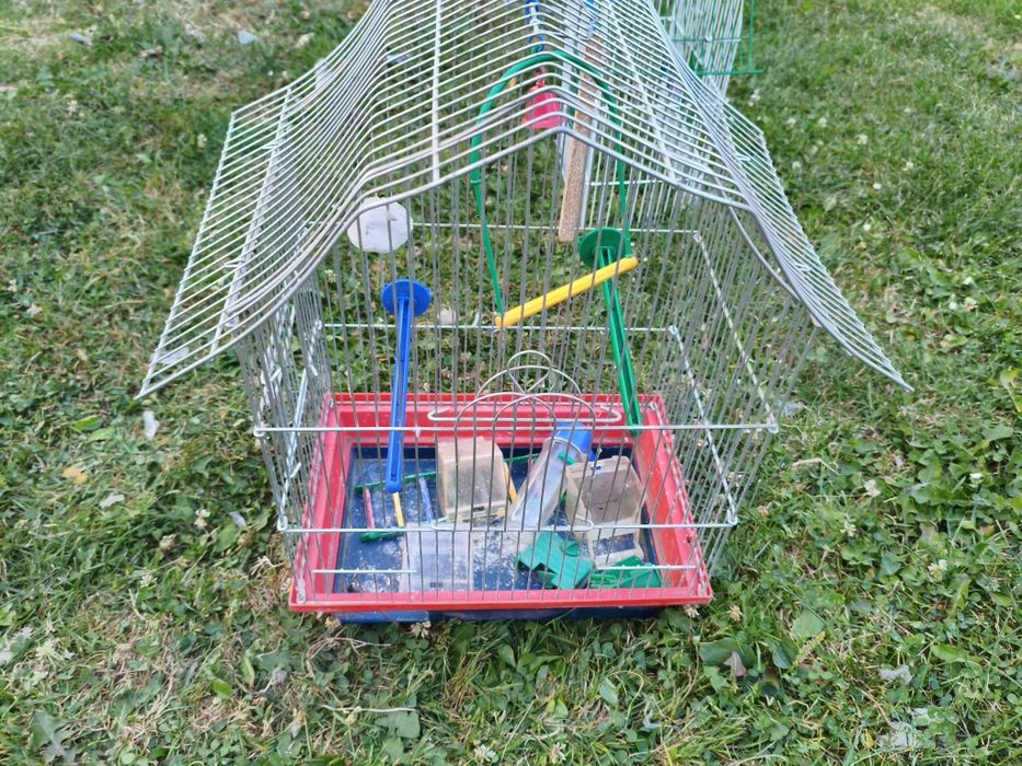 Клітка для папуг