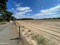 Terreno com potencial logístico ou industrial com 255.404m2