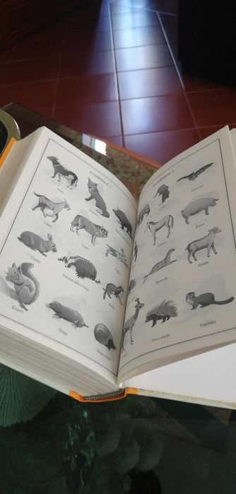 Dicionário Galego-Portugues