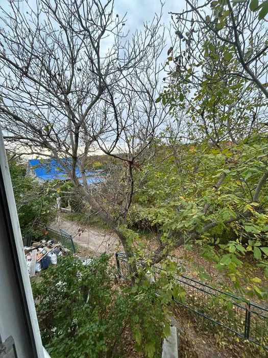 Спил деревьев, планировка участка , уборка участка под ключ