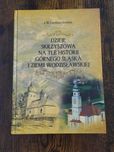 książka Dzieje Skrzyszowa na tle historii Górnego Śląska