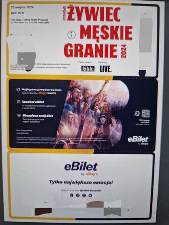 Bilet Męskie Granie Warszawa 23.08.2024
