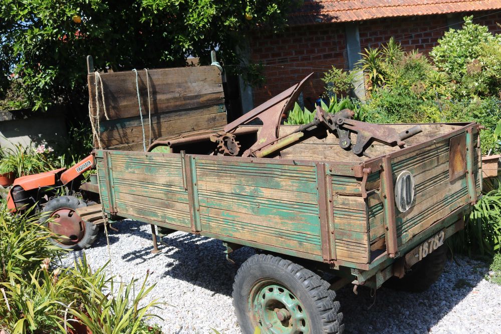 Motocultivador Agria 2700 DL