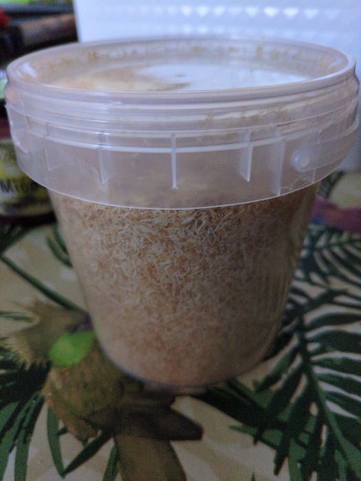 Ciasto kadayif do czekolady dubajskiej 300g