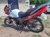 Musstang region 200