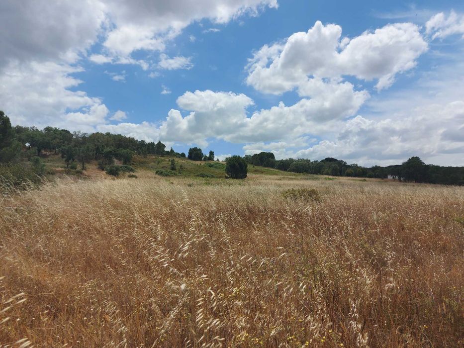 Terreno Rustico em Mora Cabecao