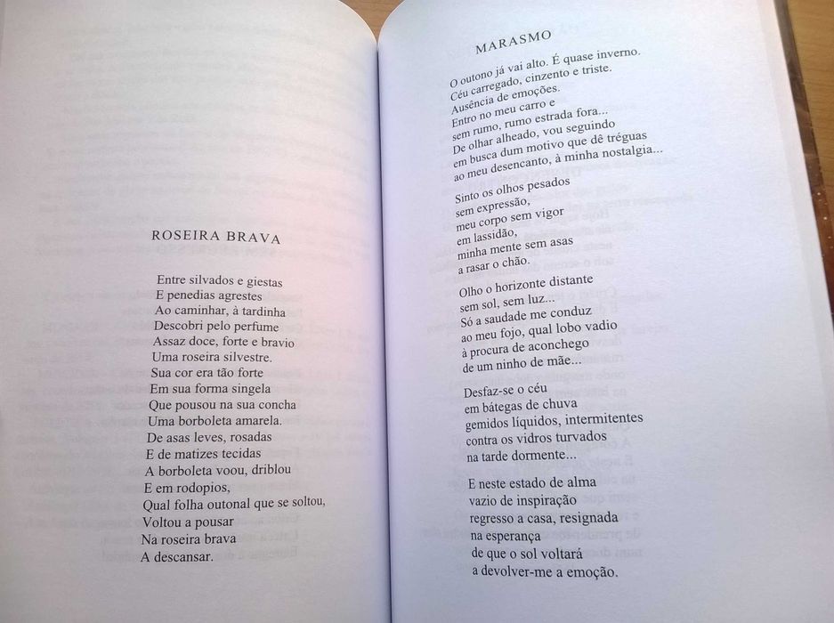 Mundo(s) Coletânea de Poesia Lusófona - Ângelo Rodrigues