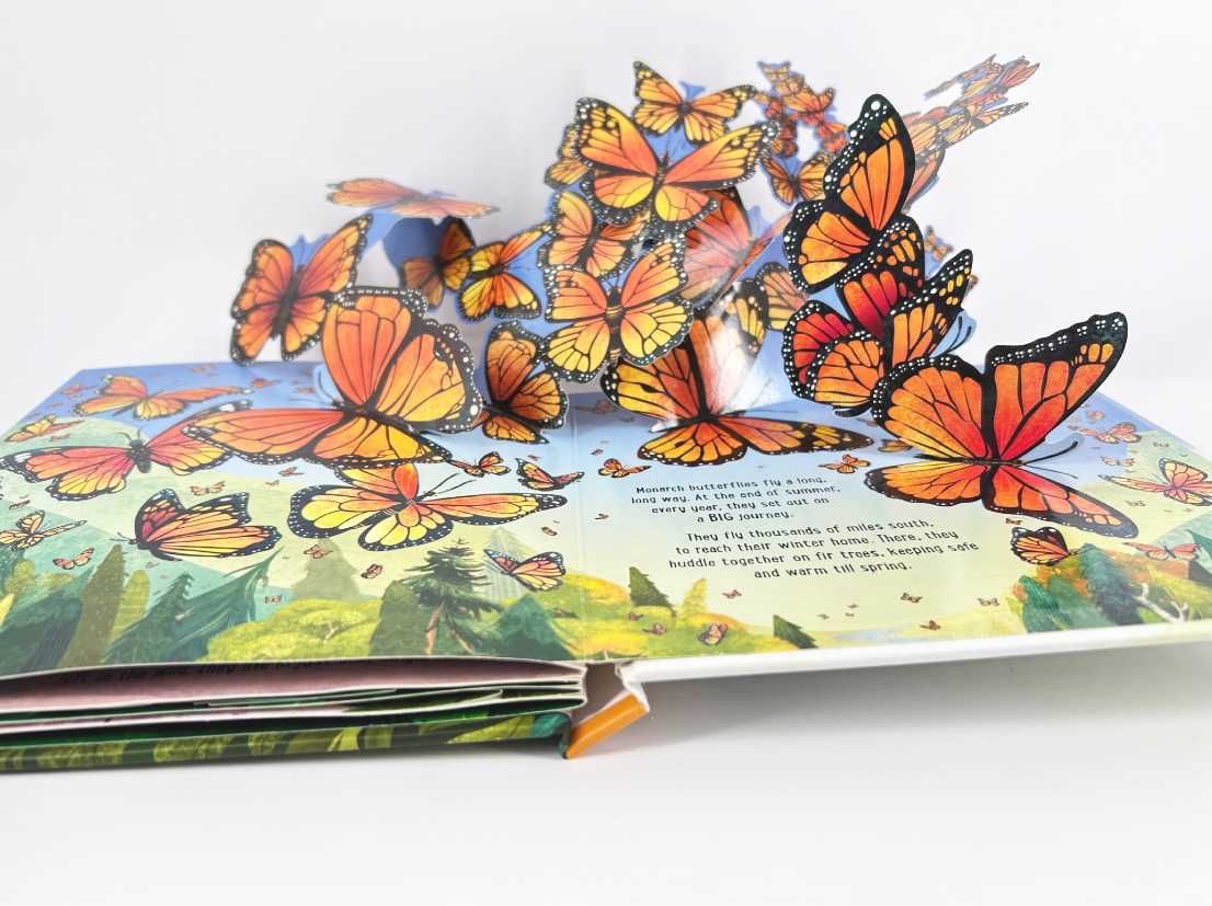 NOWA	Usborne Pop-Up Butterflies książka po angielsku dla dzieci