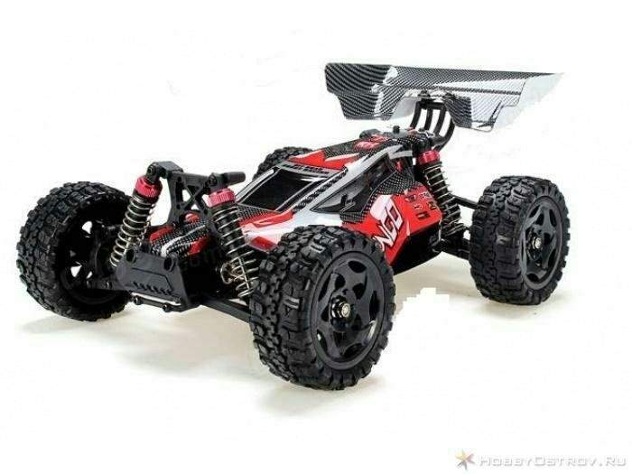 Remo Hobby Dingo 1651 Buggy