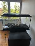 Akwarium 112 litrów+ oświetlenie led+ filtr fluval 205