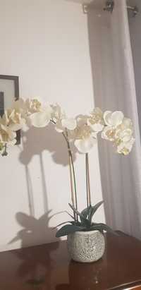 Orchidea  kwiat  w doniczce glamur